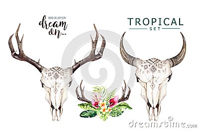 Watercolor bohemian cow skull and tropic palm leaves. Western deer mammals. Tropical deer boho decoration print antlers Stock Photo