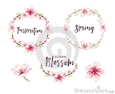 Watercolor boho blossom flower set. Spring or summer decoration Cartoon Illustration