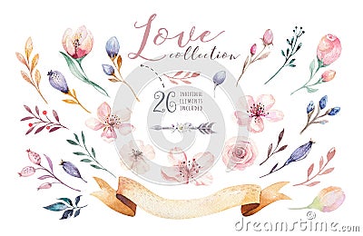 Watercolor boho floral set. Bohemian natural frame: leaves, feathers, flowers, bouquet. Isolated on white background Cartoon Illustration