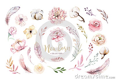 Watercolor boho floral wreath with cotton and peonies . Bohemian natural frame: leaves, feathers, flowers, Isolated on Cartoon Illustration