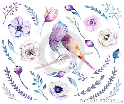 Watercolor boho flower set. Spring or summer decoration floral b Cartoon Illustration