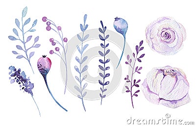 Watercolor boho flower set. Spring or summer decoration floral b Cartoon Illustration