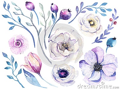 Watercolor boho flower set. Spring or summer decoration floral b Cartoon Illustration