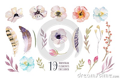 Watercolor boho flower set. Spring or summer decoration floral d Cartoon Illustration