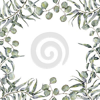 Watercolor border with eucalyptus branch. Hand painted floral frame with round leaves of silver dollar eucalyptus Stock Photo