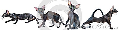 Watercolor border of oriental black cats. Painting animal illustration Stock Photo
