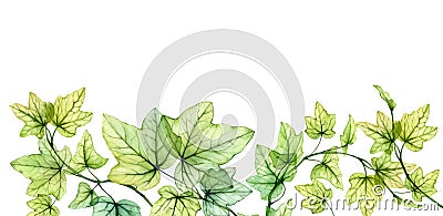 Watercolor border with transparent leaves. Banner with fresh English ivy plant and place for text. Grape tree foliage Cartoon Illustration