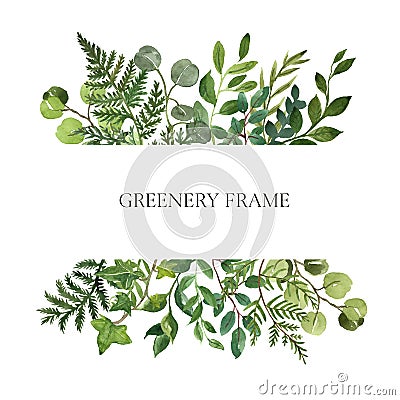 Watercolor botanical frame with wild herbs and green leaves on white background. Modern greenery and foliage frame. Floral wedding Cartoon Illustration