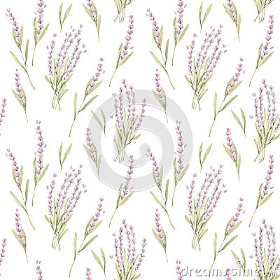 Watercolor botanical illustration. Botany seamless pattern with lavender violet flowers. Floral blossom. Perfect for packing, Cartoon Illustration