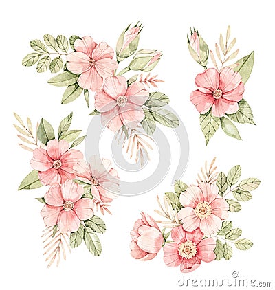 Watercolor botanical illustration. Bouquets with Pink dog-rose blossom Gentle rose, bud, branches and green leaves. Perfect for Cartoon Illustration