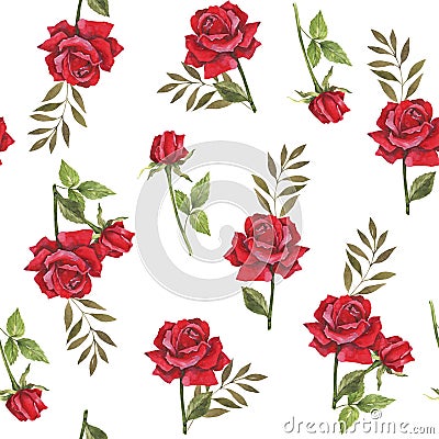 Watercolor botanical illustration with red roses. Design for fabric. Seamless floral pattern. Wedding design. Congratulatory wrapp Cartoon Illustration