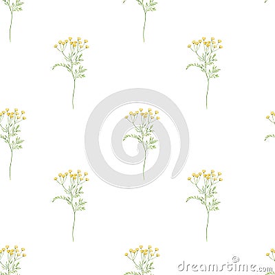 Watercolor botanical seamless pattern Delicate meadow wildflowers. Hand drawn tansy Floral print. For linens, linen Stock Photo