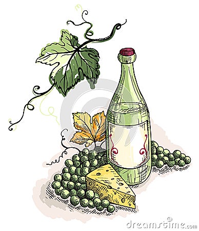 Watercolor bottle of wine, grapes and cheese isolated on white Vector Illustration