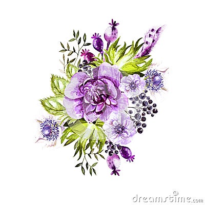 Watercolor bouquet with anemone and wild berry. Stock Photo