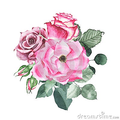 Watercolor bouquet arrangement with maroon purple roses bud flower green leaves Cartoon Illustration
