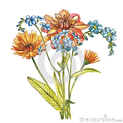 Watercolor bouquet Forget-me-not flowers, Dahlias and Calendula. Wild flower set isolated on white. Botanical watercolor Cartoon Illustration