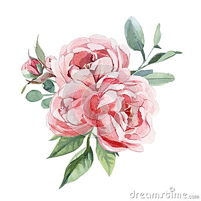 Watercolor bouquet of peony and blosom flowers isolate in white background for wedding, invitation, valentine cards and prints Cartoon Illustration
