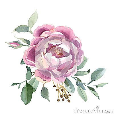 Watercolor Bouquet of peony and blosom flowers isolate in white background for wedding, invitation, valentine cards and prints Cartoon Illustration