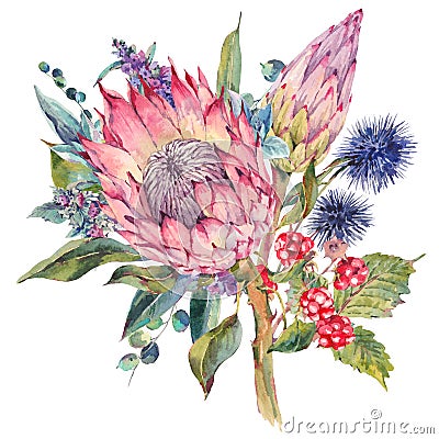 Watercolor bouquet of protea and wildflowers Cartoon Illustration