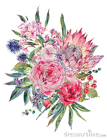 Watercolor bouquet of roses, protea and wildflowers Cartoon Illustration