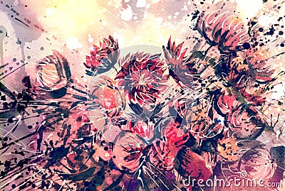 watercolor bouquet of Straw flower Stock Photo
