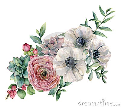 Watercolor bouquet with succulent, ranunculus and anemone. Hand painted flowers, eucaliptus leaves and succulent branch Stock Photo