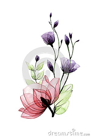 Watercolor bouquet with transparent flowers. pink wild roses and purple wildflowers isolated on white background. Stock Photo