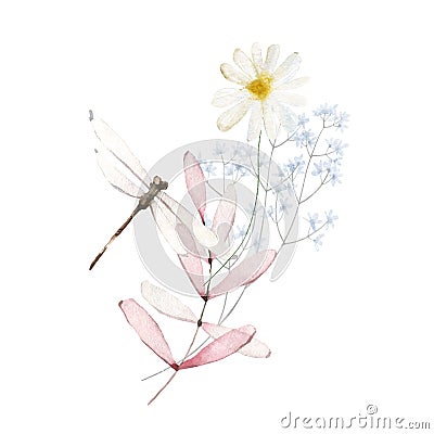 Watercolor bouquet with wild pink and blue flowers, chamomile, branches, leaves, twigs, dragonfly. Floral illustration Cartoon Illustration