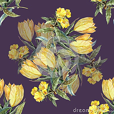 Watercolor bouquet yellow tulips on a violet background. Stock Photo