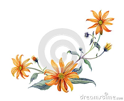 Watercolor branch orange flowers Stock Photo