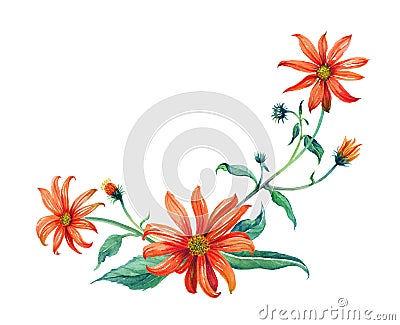 Watercolor branch red flowers Stock Photo