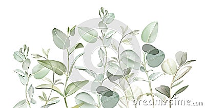 Watercolor branches border. Hand painted green realistic eucalyptus branches. Abstract botanical illustrations isolated Cartoon Illustration
