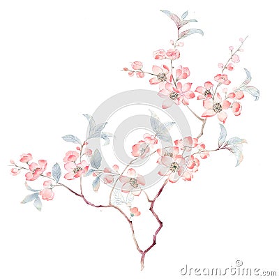 Watercolor branches and flowers Watercolor branches and flowers Stock Photo