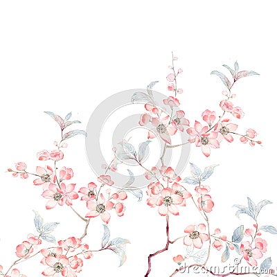 Watercolor branches and flowers Watercolor branches and flowers Stock Photo