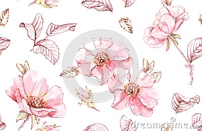 Watercolor Briar flowers seamless pattern. Botanic hand drawn illustration. Rose leaves, buds and ink leaves on white Cartoon Illustration