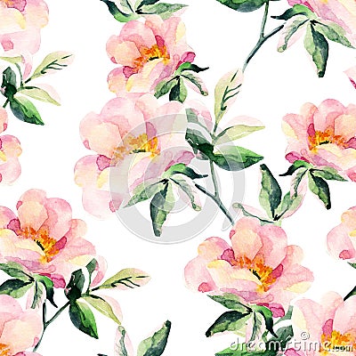 Watercolor briar flowers seamless pattern. Dog Rose branches Cartoon Illustration