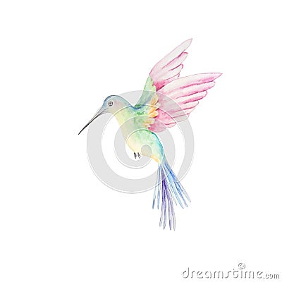 Watercolor bright hummingbird Stock Photo