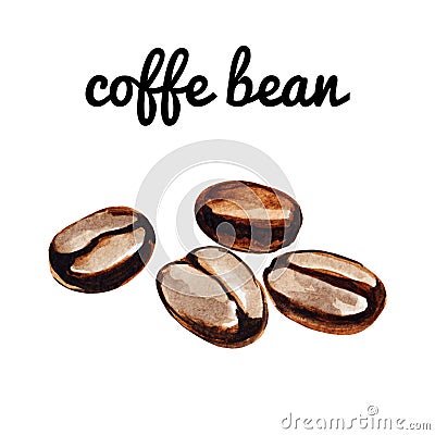 Watercolor brown coffee beans illustration isolated on white Cartoon Illustration