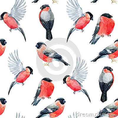 Watercolor bullfinch bird pattern Vector Illustration