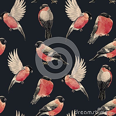 Watercolor bullfinch bird pattern Vector Illustration
