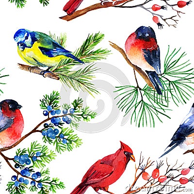 Watercolor bullfinch, titmouse, cardinal and sparrow on branches Cartoon Illustration