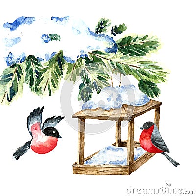 Watercolor Bullfinch on white. Drawing of a bird with winter branch and nesting box. Vector Illustration