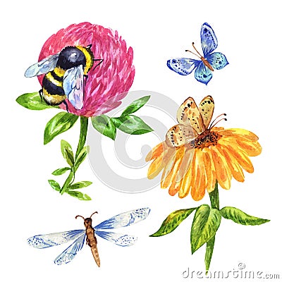 Watercolor bumblebee, dragonfly, butterfly isolated on white Stock Photo