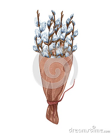 Watercolor bunch of pussy willow twigs. Spring bouquet. Easter decorations. Hand drawn illustration isolated on white Cartoon Illustration