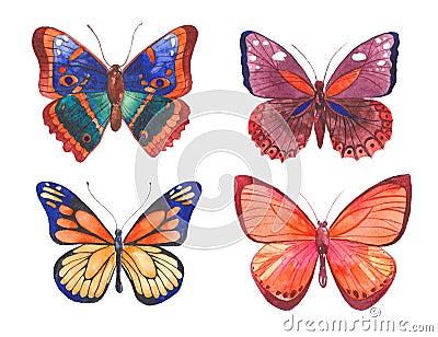 Watercolor butterflies illustration Stock Photo