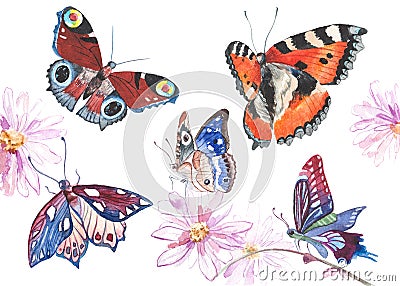 Watercolor butterflies illustration Stock Photo