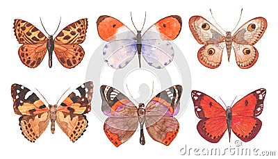 Watercolor butterflies illustration Stock Photo