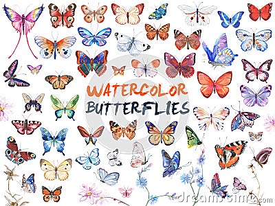 Watercolor butterflies illustration Stock Photo