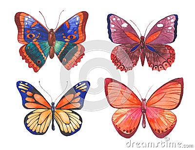 Watercolor butterflies illustration Vector Illustration