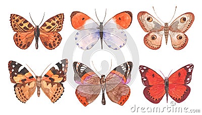 Watercolor butterflies illustration Vector Illustration